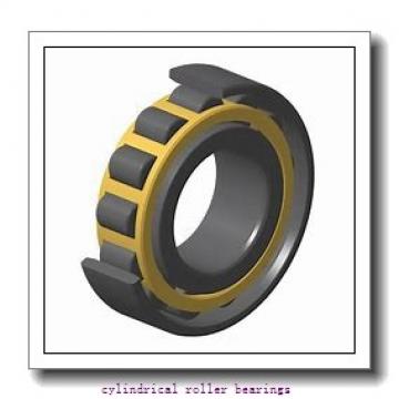AST NUP2216 EM cylindrical roller bearings