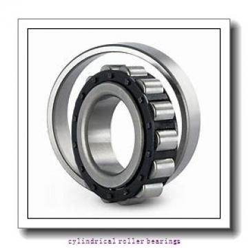 120 mm x 260 mm x 55 mm  NKE NJ324-E-MA6 cylindrical roller bearings