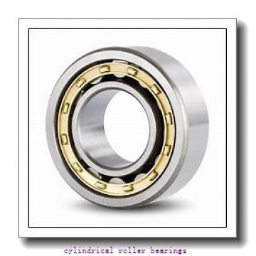 280 mm x 500 mm x 80 mm  ISB NJ 256 cylindrical roller bearings